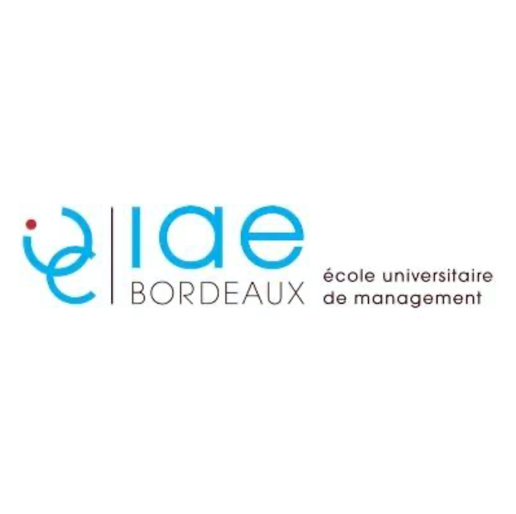 logo iae Bordeaux pour la séance de travail sur comment créer un logo en équipe