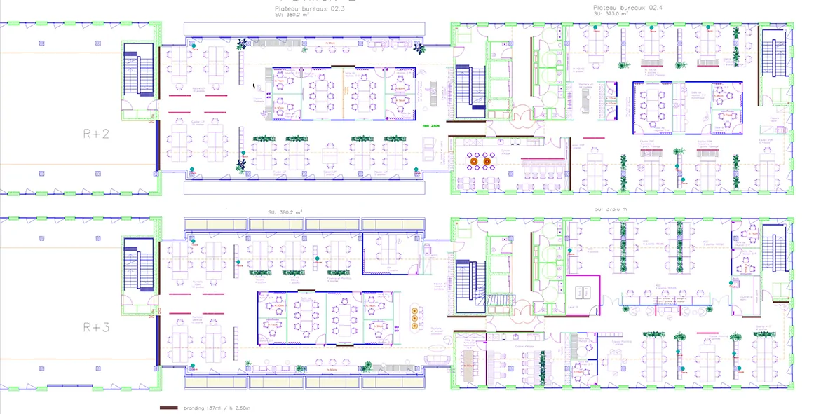 Plan de base utilisé par aNa artiste pour créer une œuvre d'Animation inauguration collaborative