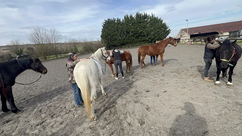 ana et les participantes à un atelier de la fresque du confort du manager à Mâcon