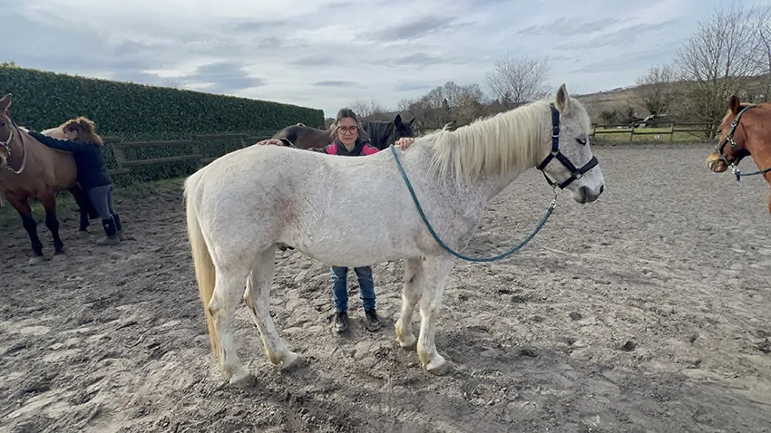 ana et son cheval Ulumba manage un atelier de la fresque du confort du manager à Châlon-sur-saône