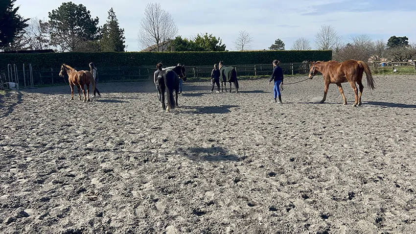 un groupe de la fresque du confort animée par aNa à Chalon-sur-saône