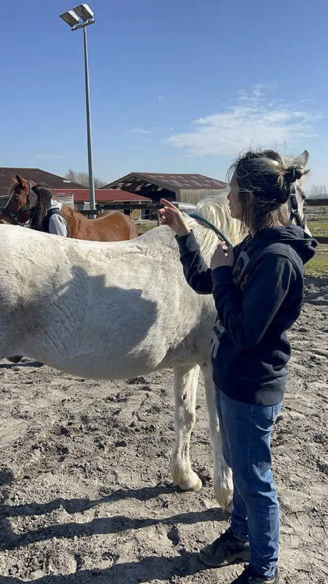 La fresque du confort animée par aNa est disponible au Creusot