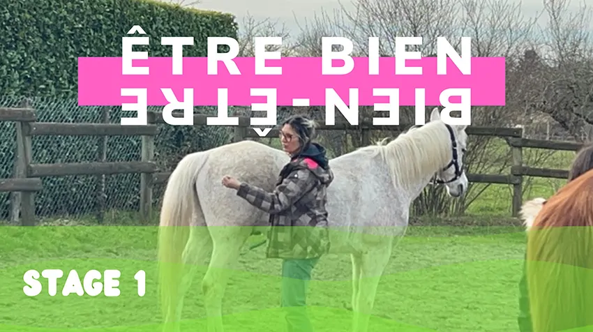 La fresque du confort du manager est une activité de pleine nature avec cheval et fresque