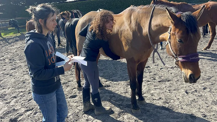Une des participantes et son cheval à l'atelier massage Shiatsu de la fresque du confort animée par aNa au Creusot