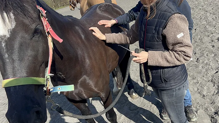 Une participante aux massages Shiatsu de la fresque du confort accompagnée par aNa à Lyon