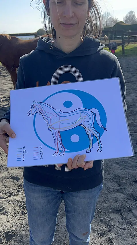 Le schémas de shiatsu de la fresque du confort présenté par aNa à Mâcon