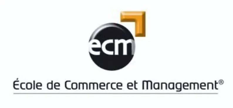 logo ecm pour la séance de travail sur comment créer un logo en équipe