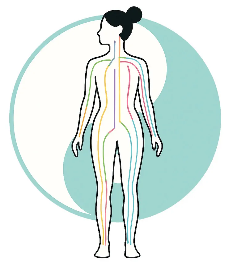 La carte simplifiée des méridiens du shiatsu à Mâcon et à Viré 71260